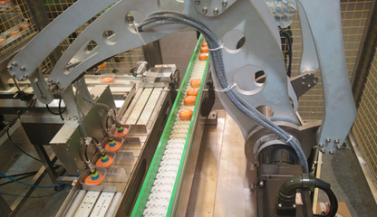 輕工業營收突破16萬億，驅動食品機械行業邁向高質量發展